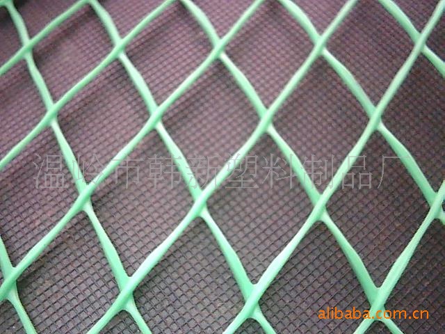韩新塑料网厂家直销 养殖网 垫底网 养鸡网 可定制