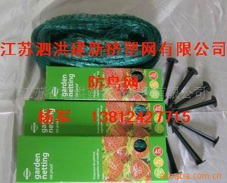 防鸟网塑料网爬藤网植物支架网