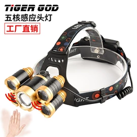 头灯头戴电筒;手电筒;提灯