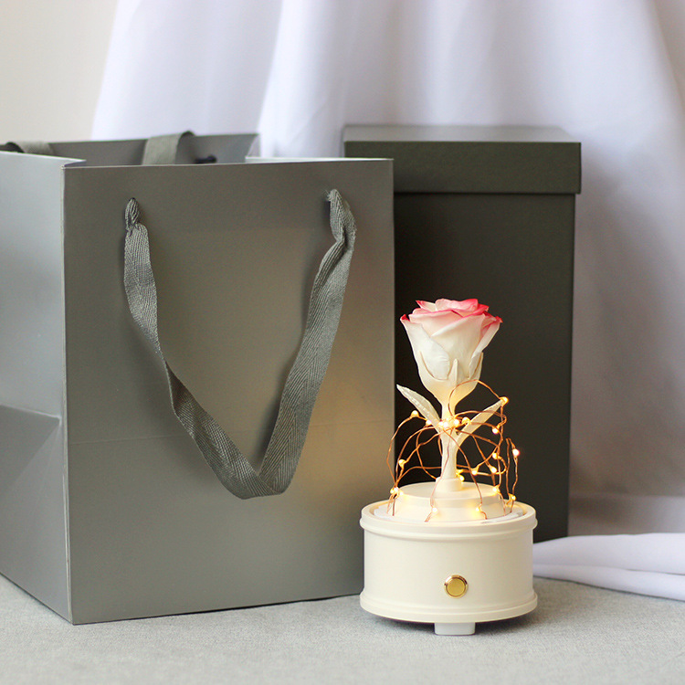 Regalo de cumpleaños del Día de San Valentín Rosa vintage Bluetooth audio flor eterna luminosa flor Real Fábrica puede pedir al por mayor