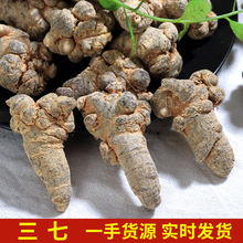 �������l�����ɽ���߷����߻�20�^�a��؛Դ��������Ƭ��ĥ��500g