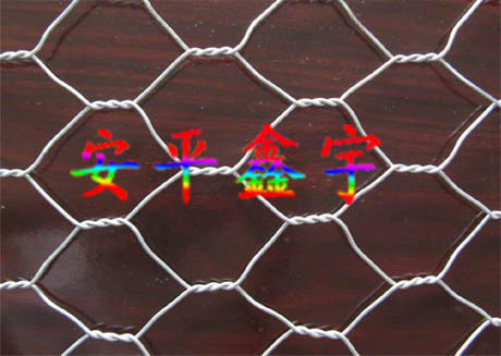 【工厂直销】铁丝六角网|铁网| 六角网 养殖铁丝网|镀锌六角网