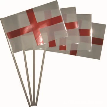 [Supply PE hand-held flag PE]