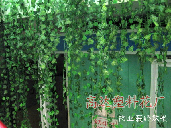 T2q901XadXXXXXXXXX_!!759914221