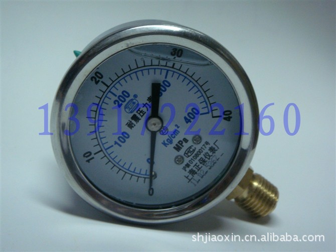 YN60 0-40MPA/不锈钢外壳/耐震压力表/上海正保仪表厂