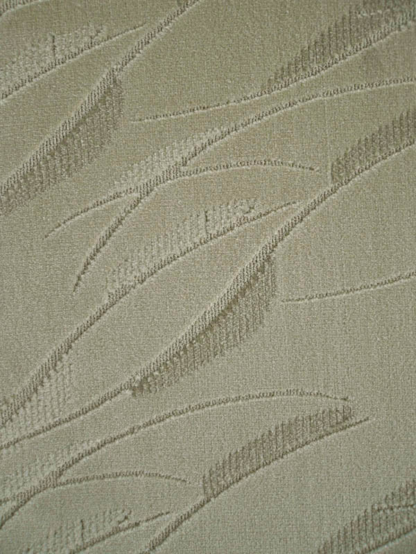 来源:虚拟相册