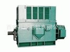 YRKK7105-6 1400KW 10000V IP55 ���ߵ�� ����