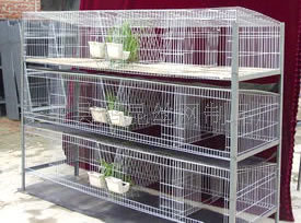 厂家供应兔笼 养殖场兔笼