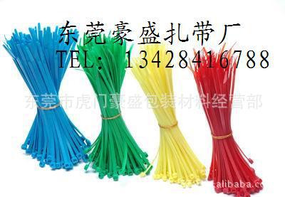 供应彩色环保尼龙扎带 PA66尼龙扎带 环保扎线
