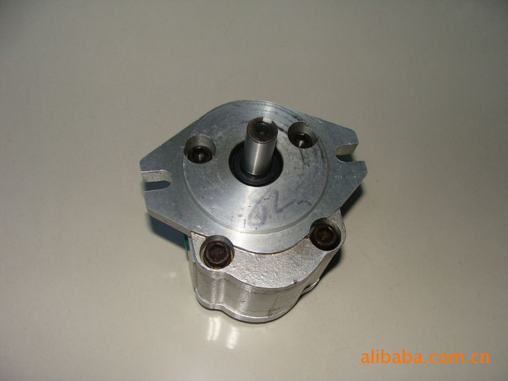 CBN-F304/306/310/314/316/325菱形齿轮泵