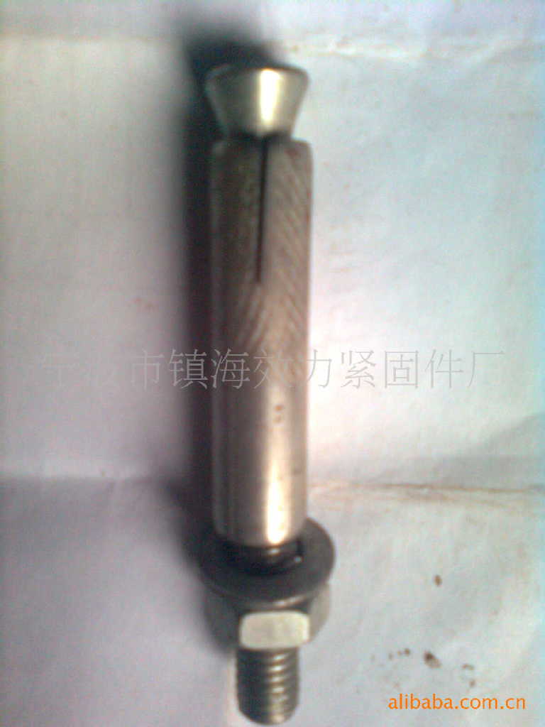 镇海效力供应高强度8.8级膨胀螺栓、镀锌（图）