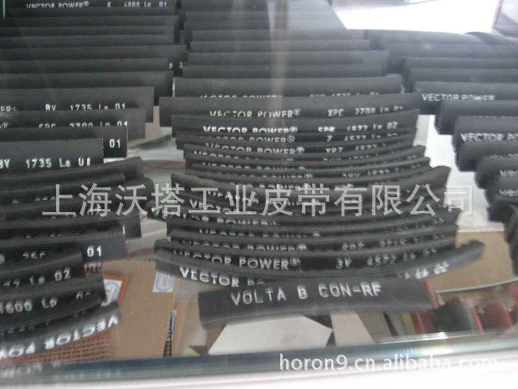 ������ɫ�к��VECTOR�������Ǵ� ���������Ǵ�