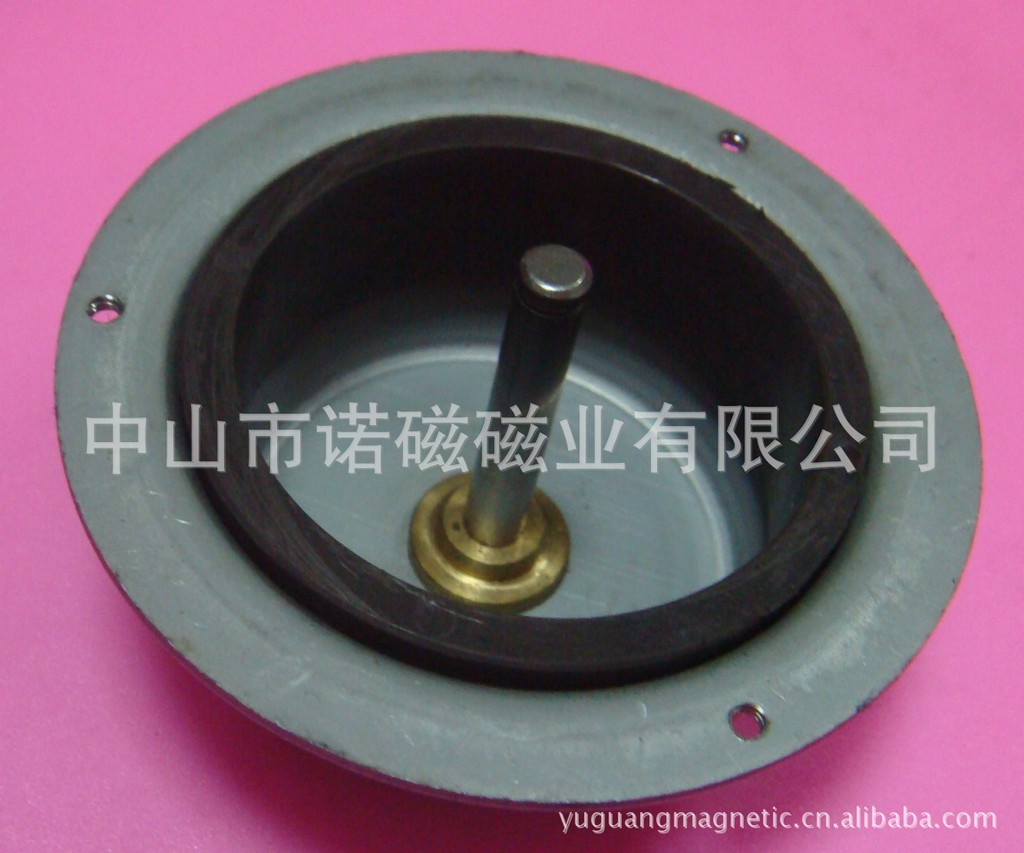 恒温热水器风机电机塑磁转子