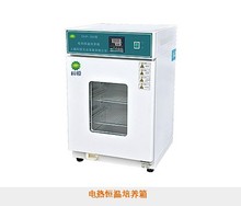 DHP-500S电热恒温培养箱   培养箱