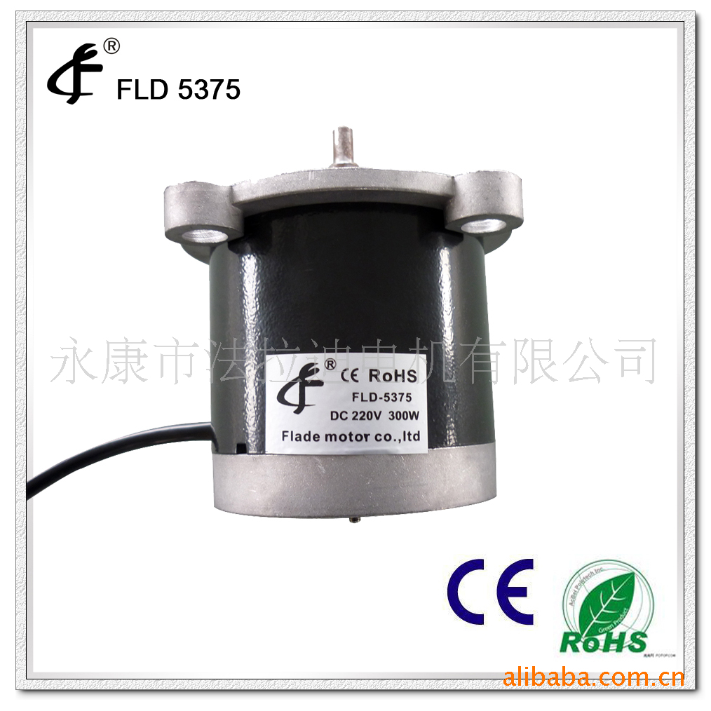 厂家供应 甩脂机跑步机电机马达 8029法拉迪跑步机马达