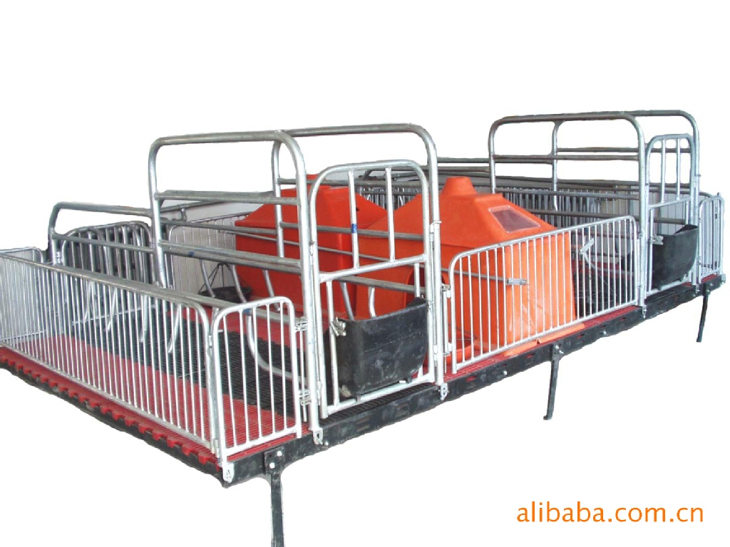 玉林厂家批发供应畜牧产床 养殖产床 猪双体产床 母猪分娩产床|ru