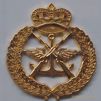 专业徽章电镀，五金纪念章电镀，胸章电镀，奖牌电镀，深圳电镀