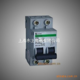 供应DZ47-63 2P高分断小型断路器C45