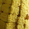 ِ�t�W�IBATH NETS FOR AFRICA(�L�ڹ�������ϴ��W)