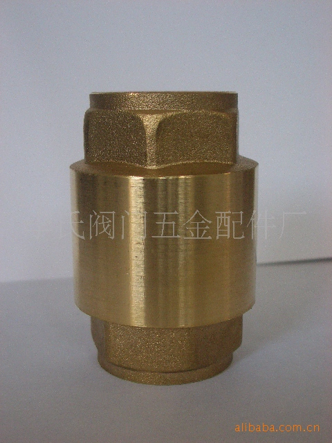 欧式不锈钢弹簧立式升降式黄铜止回阀单向阀逆止阀加厚DN15DN20