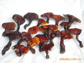 灵芝;石斛/枫斗;保健食品