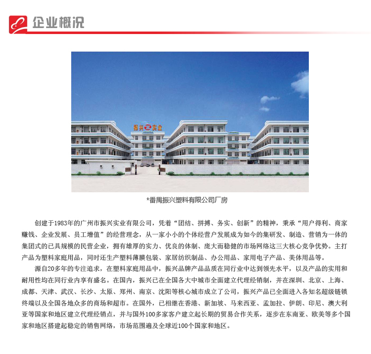 模板六 企業概況