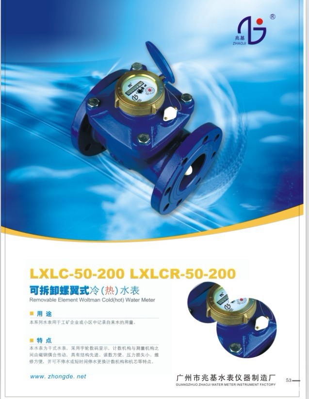 供应家用普通螺翼可拆卸干式冷水表LXLC-125E