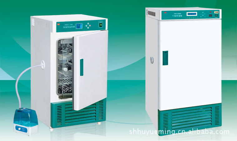 HWS-250BX恒温恒湿箱