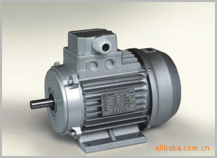 �Ϻ��| YS 100L2-4 �X�� ���ஐ��늄әC 3.0KW