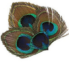 522235832009031315494532595370