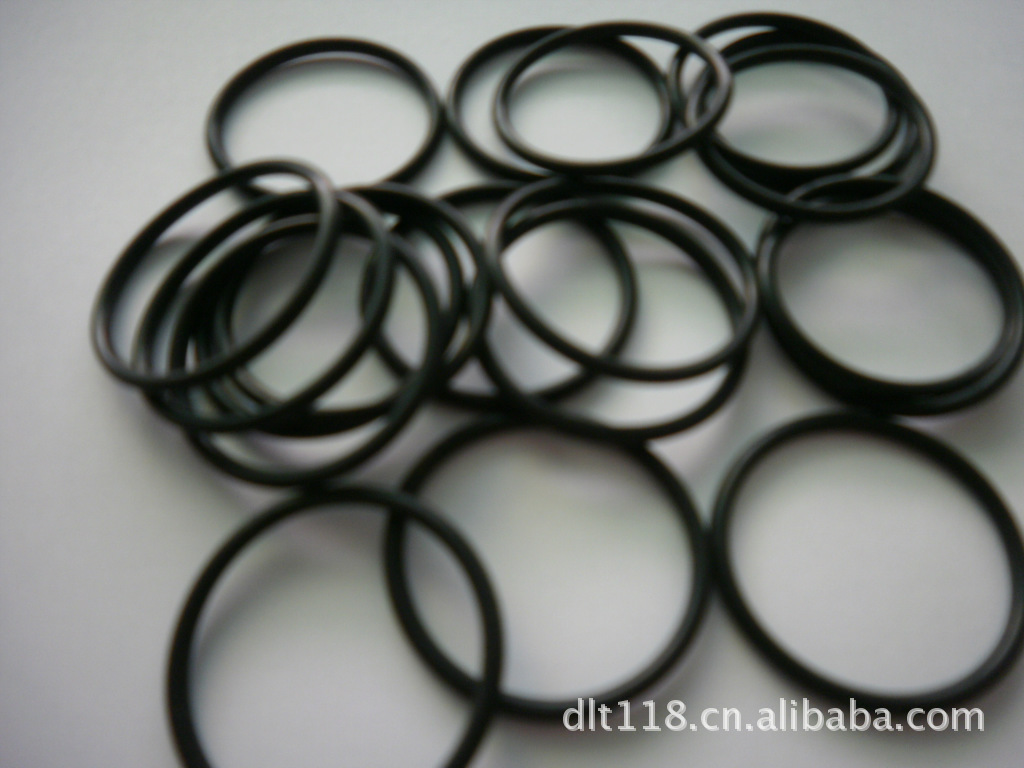 瑞士乔治费歇尔+GF+SIGNET O型圈