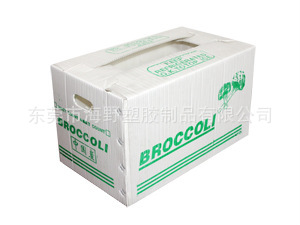 供应广东东莞钙塑箱塑料中空板包装箱中空板纸箱PP板周转箱箱体