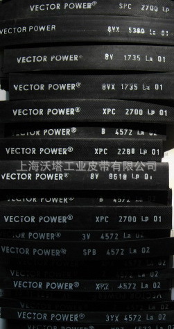 ������ɫ�к��VECTOR�������Ǵ� ���������Ǵ�