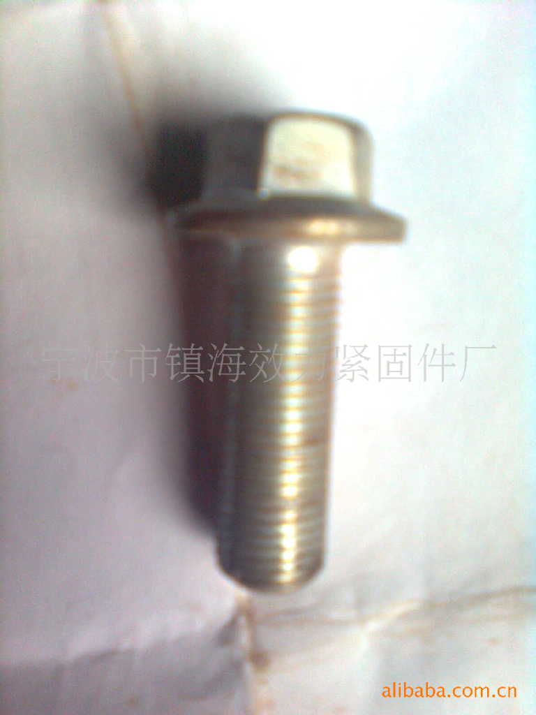 镇海效力供应8.8级法兰面螺栓冷镀锌（图）