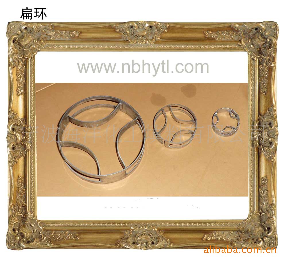 供应不锈钢扁环填料