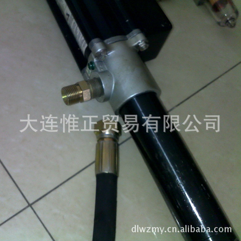 美国英格索兰ARO 柱塞泵  插桶泵 4:1 NM2304A-11-311