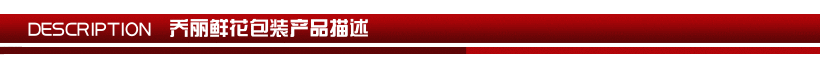 20111120产品描述标题03