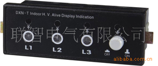 生產DXN-T 戶內高壓帶電顯示器(帶自檢、帶驗電)