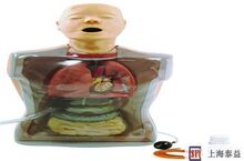 �๦��͸��ϴθӖ��ģ��/͸��ϴθӖ��ģ��/�o��ģ��