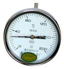 大量销售  厂家直接供应双金属温度WSS-411 精密金属套温度计