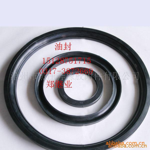 氟胶垫加工氟胶条氟胶圈 氟胶密封圈 硫化罐密封圈 高压釜密封圈