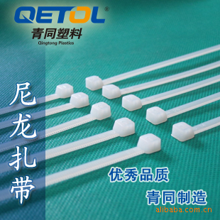 Strapping wire Ligature fixed nylon Cable Ties computer host Line Network cable Plastic Strapping customized