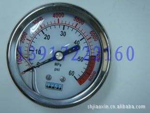 YN60Z 0-40MPA 不锈钢耐震压力表 轴向不带边 不锈钢一级减压阀