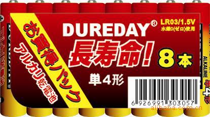 市场无汞无镉环保碱性锌锰干电池