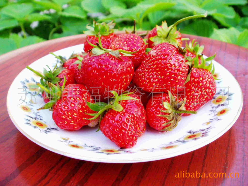 草莓香精 奶油香精 巧克力香精 蓝莓香精 奶茶香精 花生香精