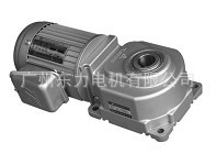 【厂家直销】广州东力电机 东力轴上型减速电机 质量保障