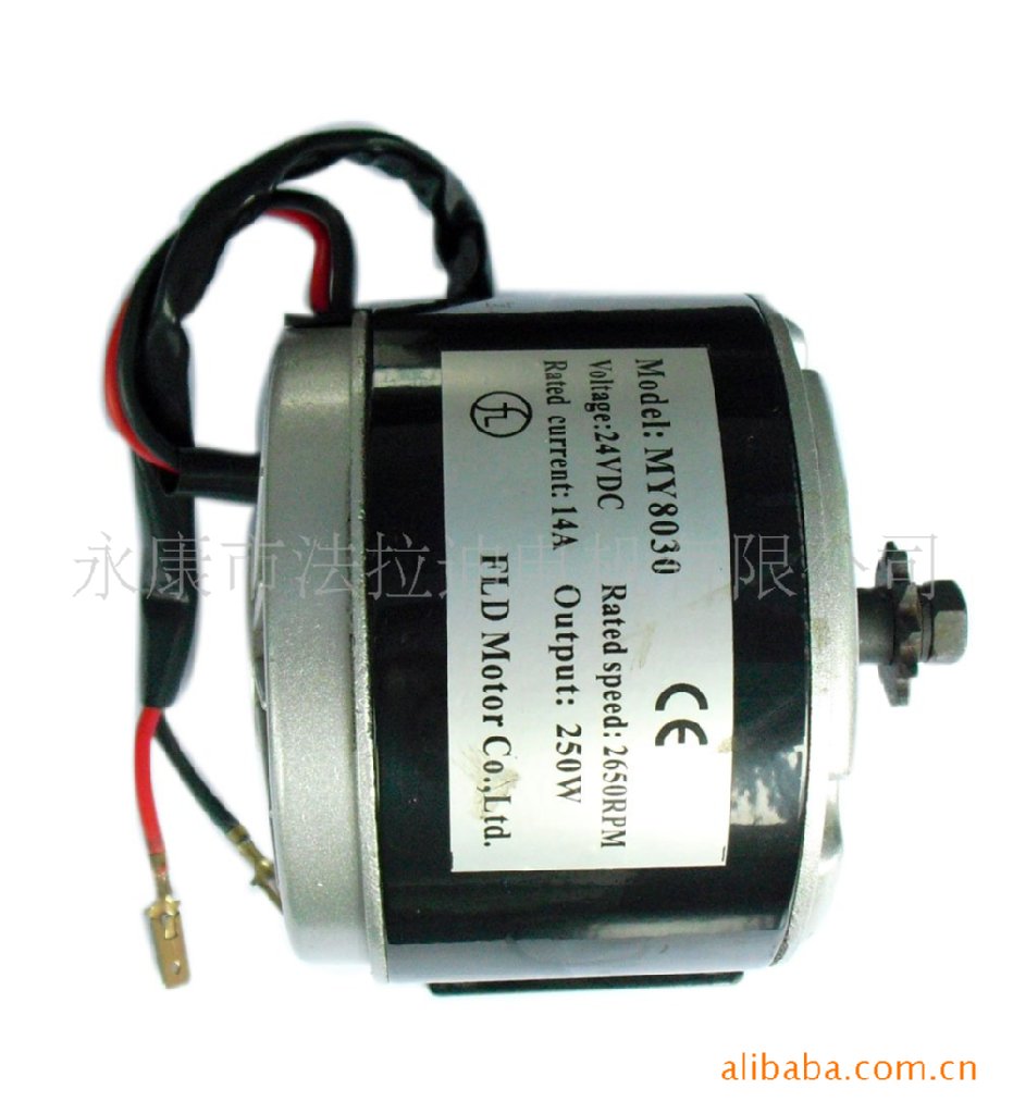 厂家直供 气血机直流电机 8029电动滑板车电动机