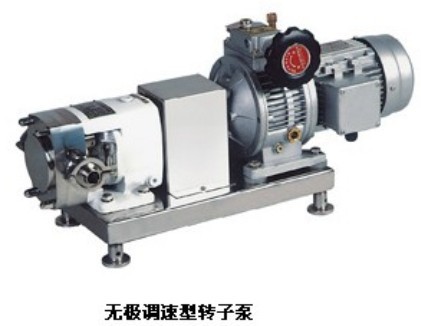 ZB3A卫生级转子泵,无极调速转子泵,不锈钢转子泵