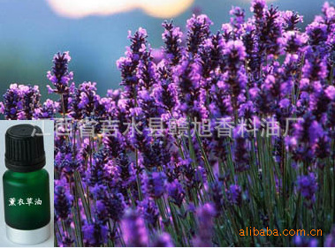 厂家直销香精香料花香味日化按摩化妆补水保湿加湿天然薰衣草精油