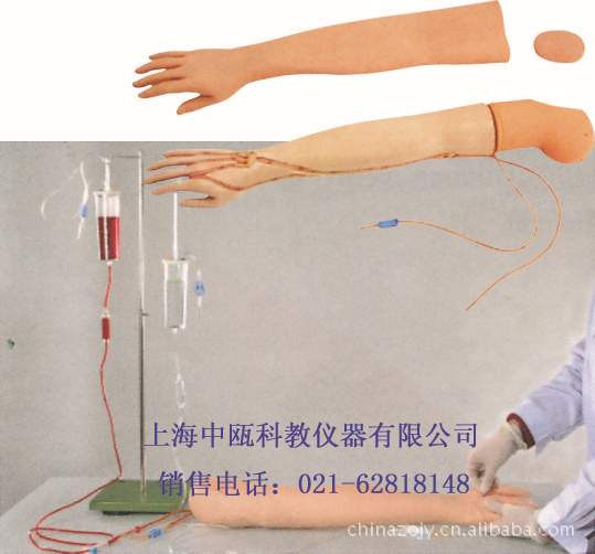 静脉模型|静脉②：HS2型多功能静脉穿刺输液手臂模型